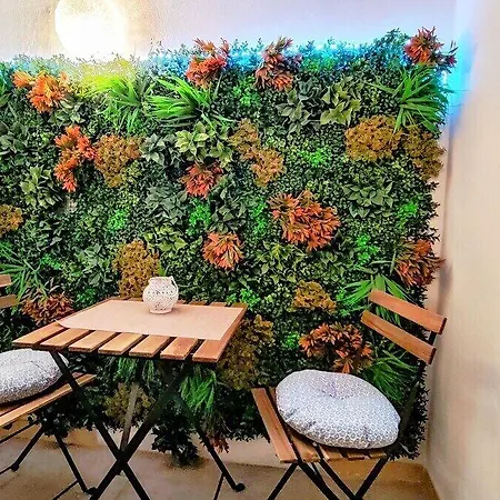 Kosykasa * Cannes